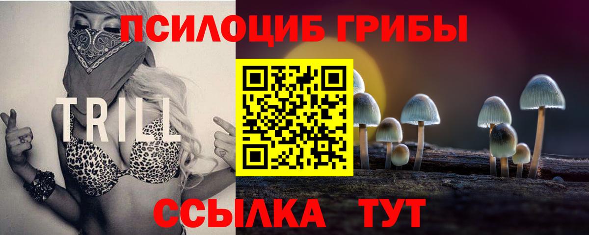 Псилоцибиновые грибы ЛСД Кировск