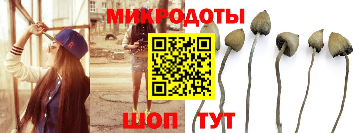 Кировск  Галлюциногенные грибы Magic Shrooms  Вход с VPN 